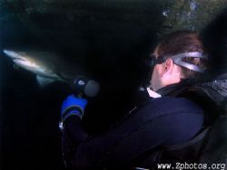 My dive buddy, Zach and I were fortunate to watch this Sa... by Zaid Fadul 